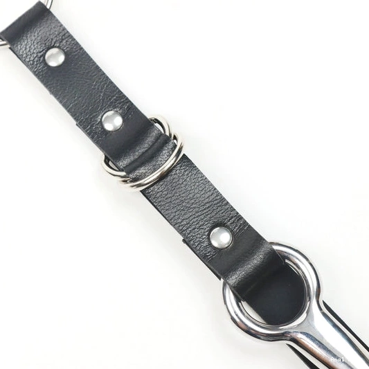Anal Leash EverydayUse with Hook Kinky and 5853 Collar 0205